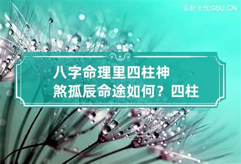 神煞 寡宿|八字中孤辰寡宿是什么意思 八字带孤辰寡宿怎么看